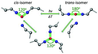 Cis-Trans Switchable Metallo-Supramolecular Polymers 