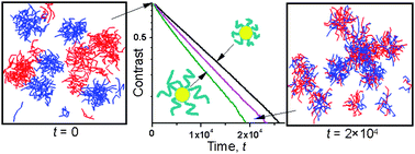 Equilibrium Chain Exchange Kinetics in Block Copolymer Micelle Solutions by Dissipative Particle Dynamics Simulations
