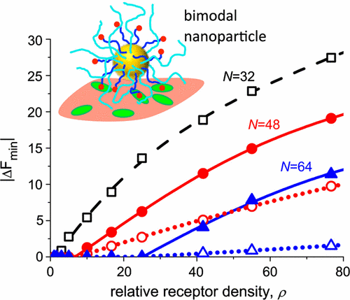 Selectivity of Ligand-Receptor Interactions between Nanoparticle and Cell Surfaces