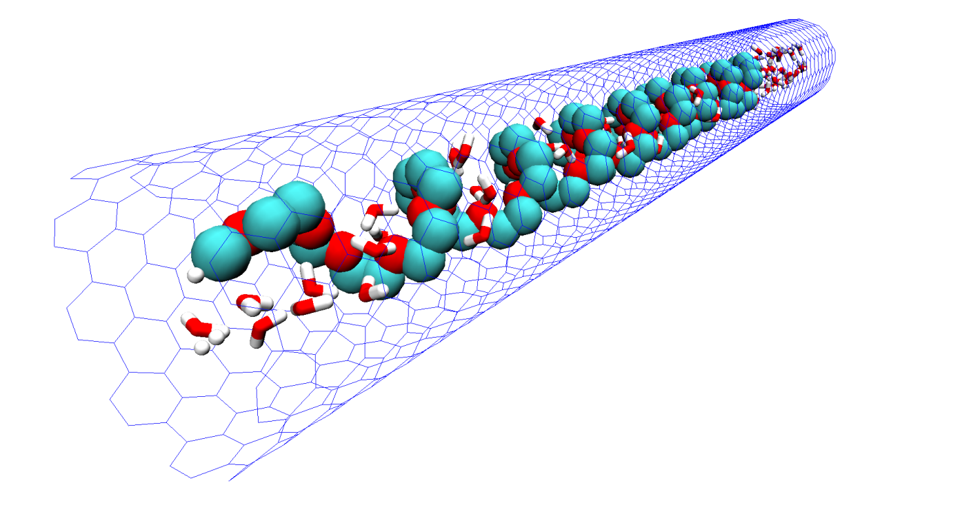 Spontaneous insertion, helix formation and hydration of polyethylene oxide in carbon nanotubes