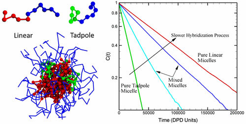 Tadpole and Mixed Linear/Tadpole Micelles of Diblock Copolymers: Thermodynamics and Chain Exchange Kinetics