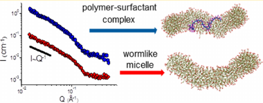 Wormlike Surfactant Micelles with Embedded Polymer Chains
